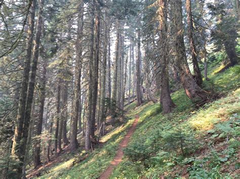 Crescent Mountain Trail Oregon Alltrails