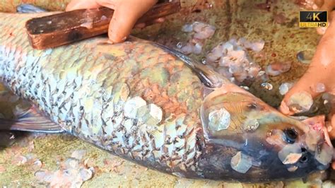 Amazing Rohu Fish Cutting Skills In Fish Market Fish Cutting Skill