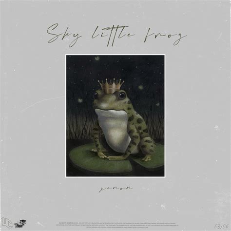 Shy Little Frog Remix Single By Usagi Collective Spotify