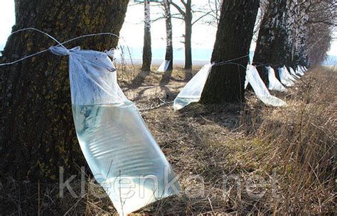 Мешок для березового сока, 100 мкм, 0,7м*1,1м (ID#551508943), цена: 10 ...