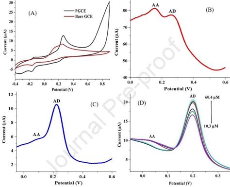 A Cyclic Voltammogram Of Bare Gce And Pgce B Square Wave