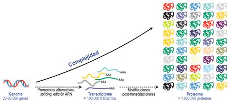 Análisis de la Evolución mediante Herramientas Moleculares