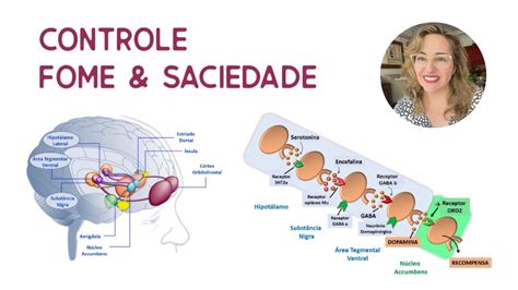 Controle Hipotal Mico Da Fome E Saciedade Youtube