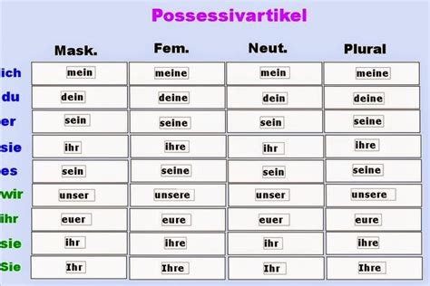 German Possessive Pronouns - Priyamvada - Medium