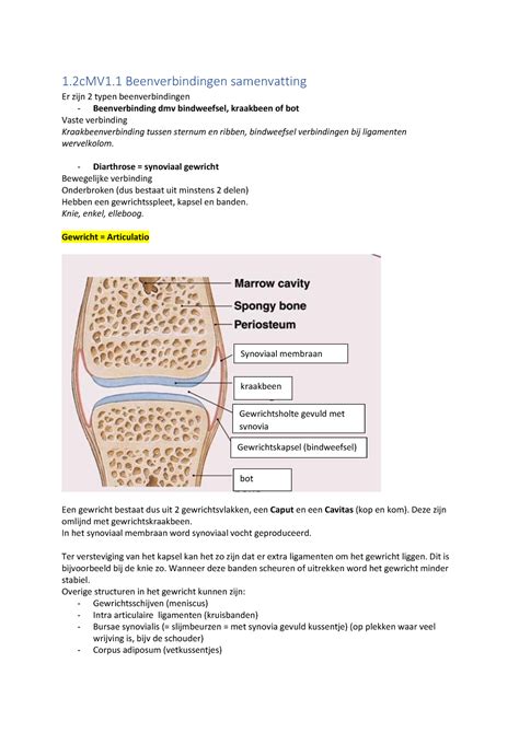 Beenverbindingen Samenvatting 1 2cMV1 Beenverbindingen Samenvatting