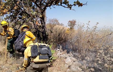 Controlan Incendio Forestal En El Cerro Del Colli Notisistema