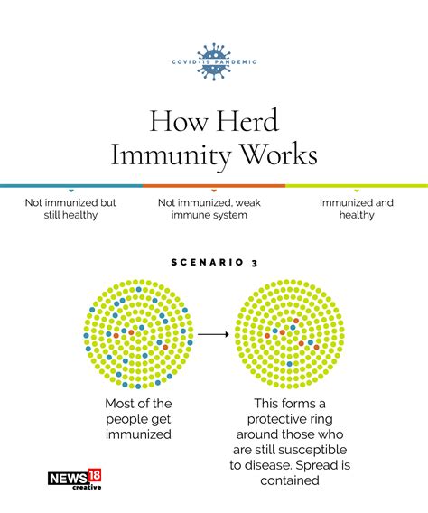 Herd Immunity How Does It Work Forbes India