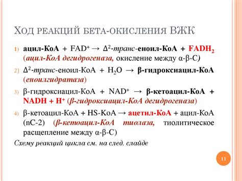 Обмен липидов. Липолиз. Обмен кетоновых тел - презентация онлайн