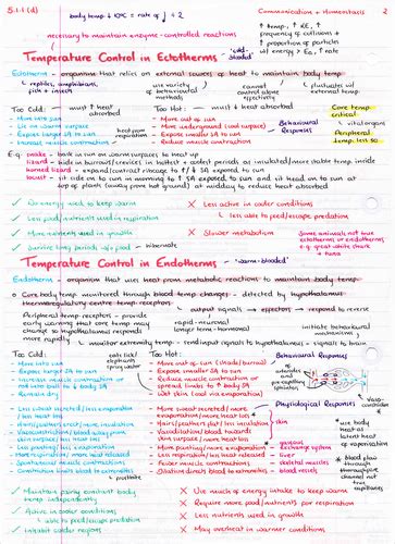 Ocr A Level Biology Communication And Homeostasis Revision Poster Teaching Resources