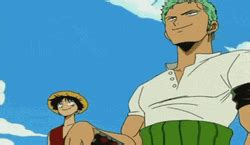 Zoro And Luffy Fight