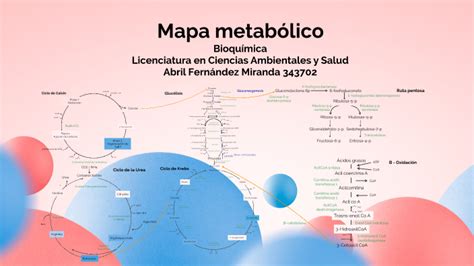 Mapa Metabólico By Abril Fernandez