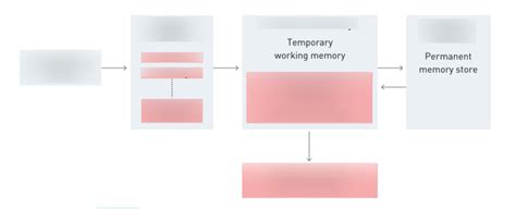 Chapter Sensory Short Term Long Term Memory Diagram Quizlet