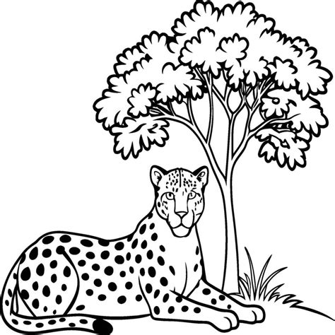 Leopard Illustration For Coloring Book Leopard Outline Animal