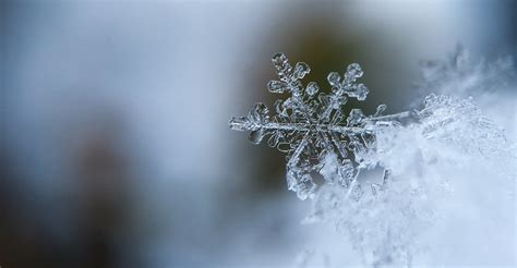 Choses Tonnantes Concernant La Neige