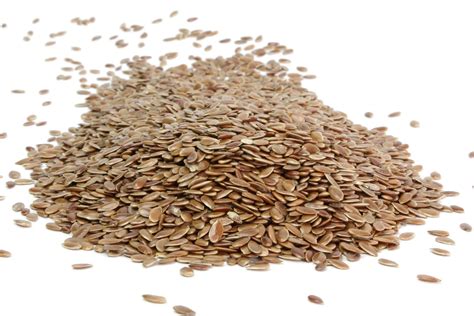 Camelina Seed - Hodmedod's British Wholefoods