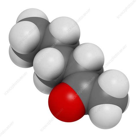 Methyl Butyl Ketone Molecule Stock Image F Science Photo