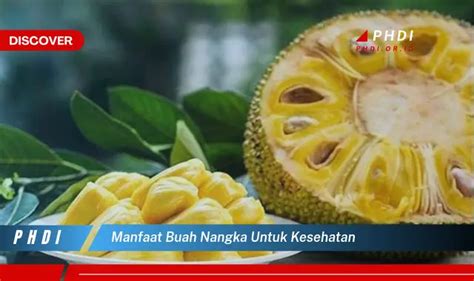 Temukan Manfaat Buah Nangka Untuk Kesehatan Yang Wajib Kamu Intip