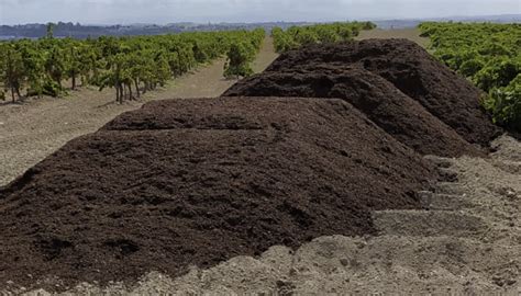 Desvelado El Misterio Del Mal Olor Ambiental Toneladas