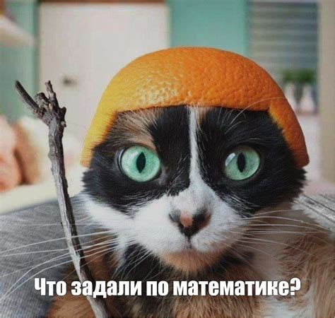Мем: "Что задали по математике?" - Все шаблоны - Meme-arsenal.com