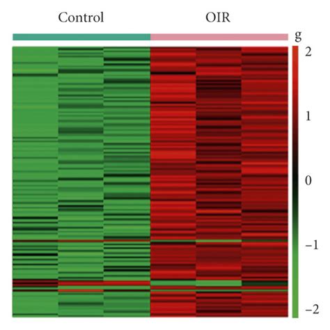 Heatmap Of Differentially Expressed Genes Identified In A Gse