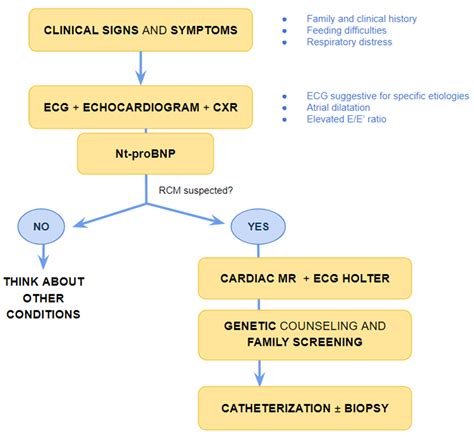 Paediatric Restrictive Cardiomyopathy Encyclopedia Mdpi