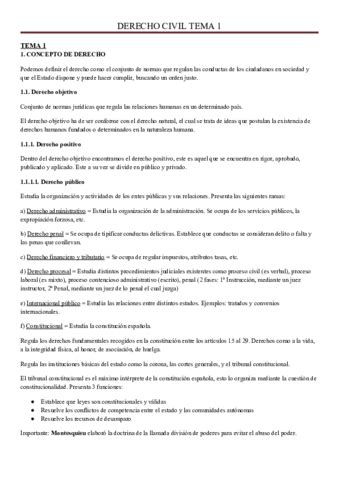 TEMA 1 Derecho Civil FINALIZADO Pdf