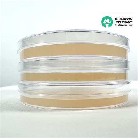 Pre Poured Agar Plates Sterile Mea Best Agar For Mushrooms