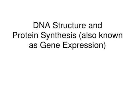 Ppt Dna Structure And Protein Synthesis Also Known As Gene Expression Powerpoint