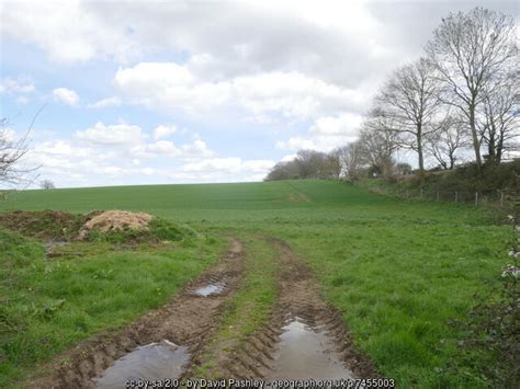 Entrance To Cereal Field David Pashley Geograph Britain And Ireland