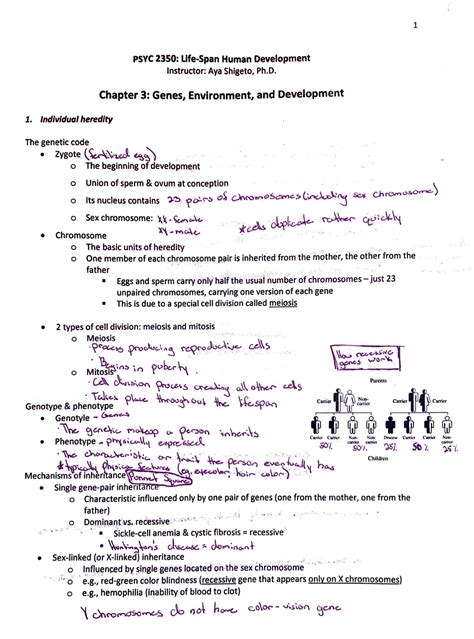 Life Span Chapter Notes Psyc Studocu