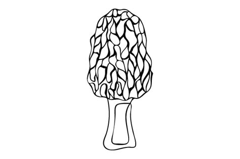 Morel Mushroom Svg Cut File By Creative Fabrica Crafts Creative Fabrica