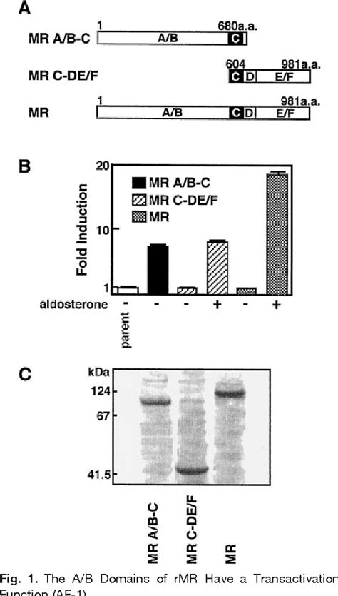 Figure 1 From Characterization Of Transactivational Property And