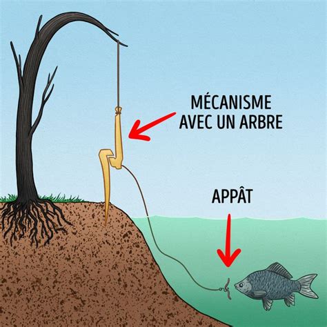 Conseils Et Astuces Qui Te Sauveront La Vie Si Tu Te Perds Dans La