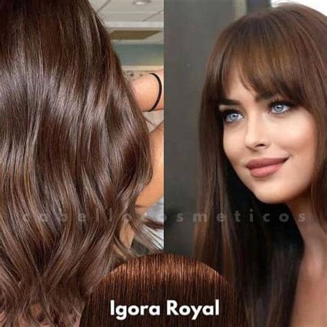 Igora Royal Color 3 86 Dark Brown Chocolate Red Artofit