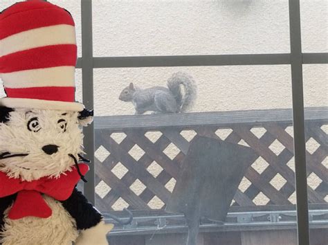 Squirreled Away by Mileymouse101 on DeviantArt
