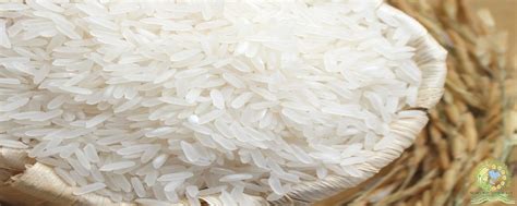 Parboiled Rice Thailand Long Grain White Rice 100 Broken