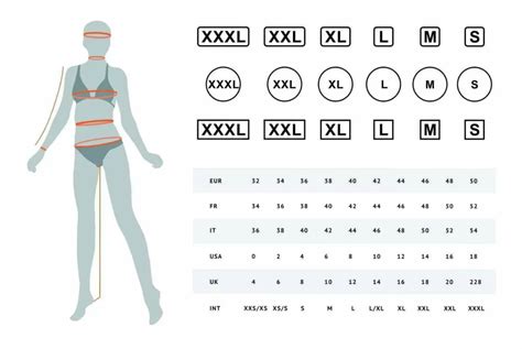 Female Body Types Chart: Complete Guide on Women Body Types - Salameh ...