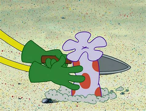 Spongebob Flowers Guide The Sponge Bob Club