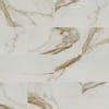 MSI Take Home Tile Sample Regallo Calacatta Marbella 6 In X 6 In