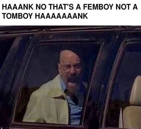 HANK GODDAMNIT : r/breakingbadmemes