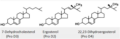 The Source And Related Diseases Of Vitamin D