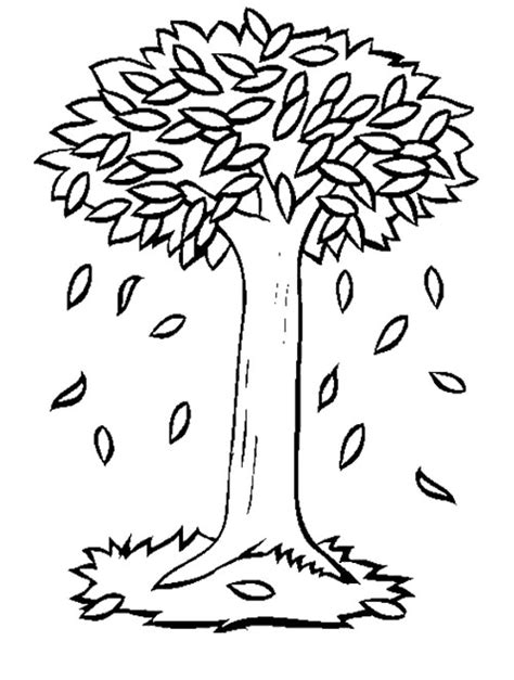 Tree With Leaves Coloring Page Sketch Coloring Page