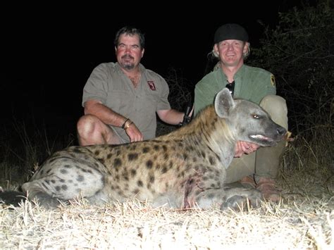 Hyena Hunting Zimbabwe 2018 | AfricaHunting.com