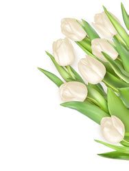 Tulips Decorative Border Eps Royalty Free Vector Image