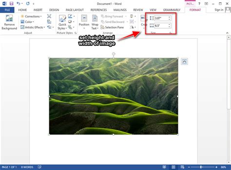 Tips And Tricks On How To Resize A Picture In Word Quickly