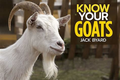 Know Your Goats Book By Jack Byard Official Publisher Page Simon