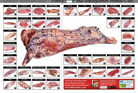 UK Cuts Schnittbild Weidefleisch Org