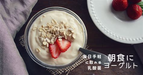 乳酸菌とは？種類や効果、摂取できる食材・続けられるコツを解説