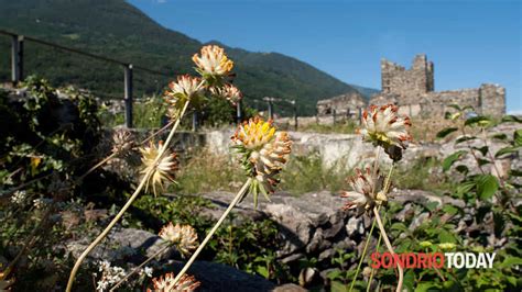 Ferragosto Valtellina E Valchiavenna Tra Le Mete Turistiche Preferite