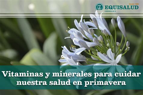 Vitaminas Y Minerales Para Cuidar Nuestra Salud En Primavera Equisalud